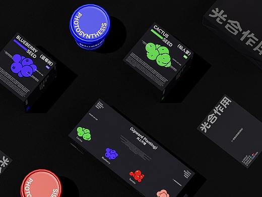 光合作用 | 桌面绿植包装 | 一家贩卖希望的商店