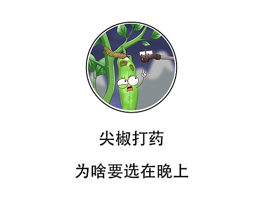 尖椒打药，为啥要选在晚上？