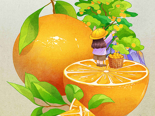 水果系列｜原创包装插画｜硕果满枝，果香四溢