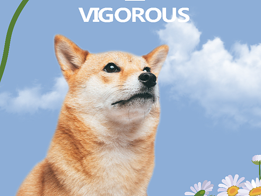 柴犬