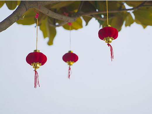 2023年新的一年（个人主页-ZNjM3Mzk5MTY=） - 风光摄影 - 站酷设计师雪狐公子原创素材 - 站酷ZCOOL