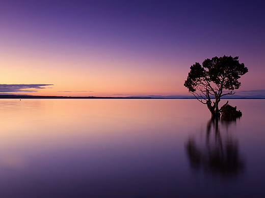 店铺装修（个人主页-ZNTkxNzEwMDQ=） - 包装 - 站酷设计师离歌微凉原创素材 - 站酷ZCOOL