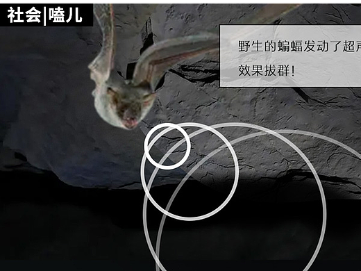 动物感知地震能力真比人强？