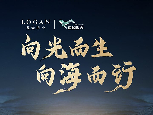 PPT定制/龙光商业/鲸影共赢发布会