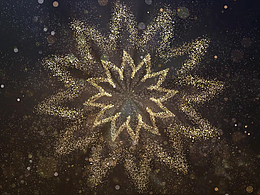 招行金葵花TVC开花特效