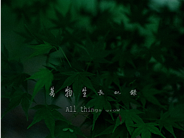 摄影