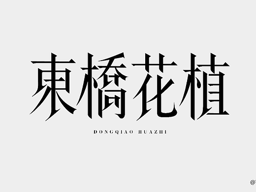 字体设计合集 3-4月