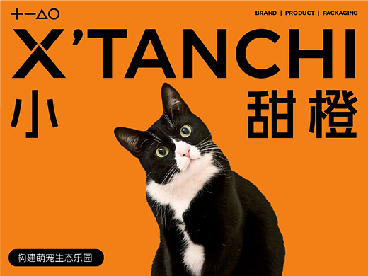 偷吃橙子的猫｜小甜橙x佳简几何