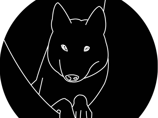第十七天 logo练习