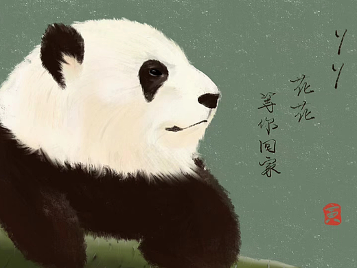 熊貓（個人主頁-ZNjQ4NDE2Mjg=） - 創(chuàng)作習(xí)作 - 站酷設(shè)計師過路一只貓原創(chuàng)素材 - 站酷ZCOOL