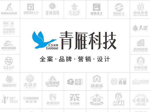 青雁设计-近期设计汇总