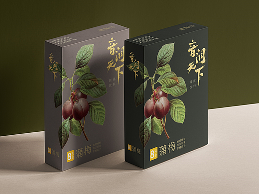 蒲梅冲剂药盒包装设计