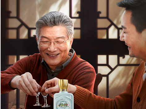 父亲节白酒海报 荷花玉16