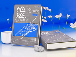 书籍设计
