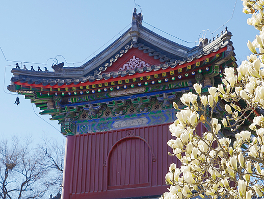 北京艺术博物馆