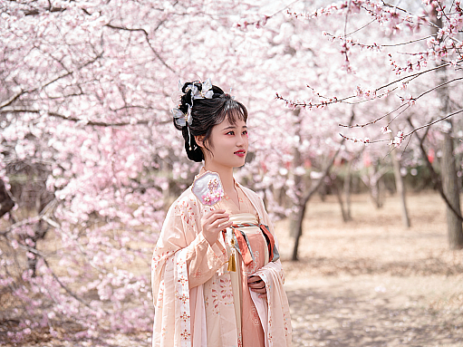 三月桃花