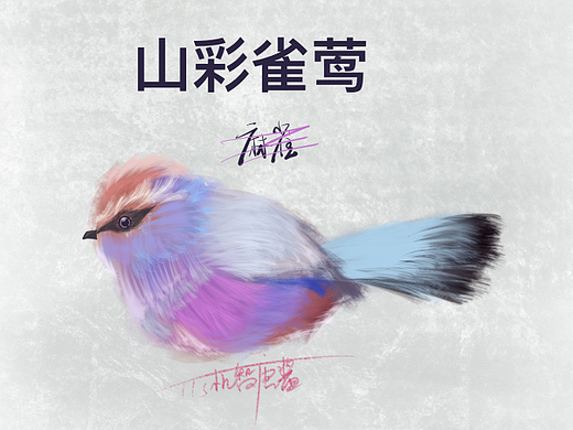 山彩雀鶯（個(gè)人主頁(yè)-ZNTk4NzMxNTI=） - 創(chuàng)作習(xí)作 - 站酷設(shè)計(jì)師TTS機(jī)智糖醬原創(chuàng)素材 - 站酷ZCOOL