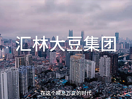 匯林大豆企業(yè)宣傳片