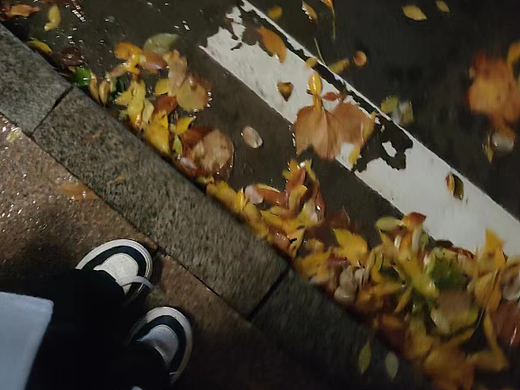 风景照片
