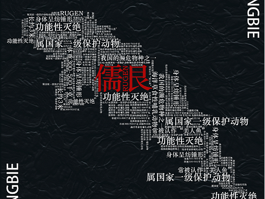 数字海洋|公益海报设计|文字排版|爱护生物