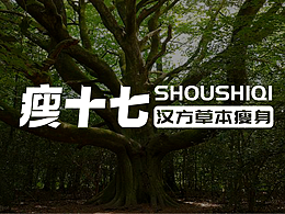 纽普作品丨瘦十七汉方草本养生