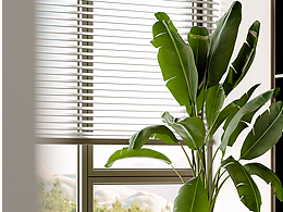 2023  |  场景渲染