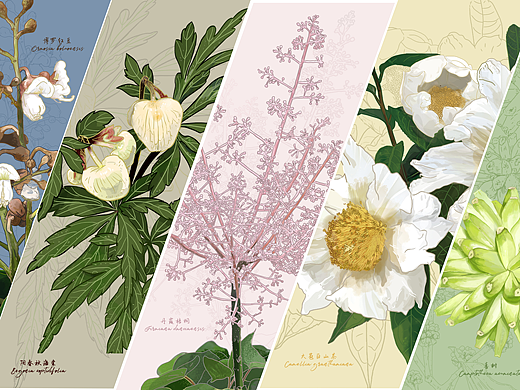 2021年珍稀植物花卉合辑