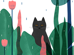 猫之二十四节气 GIF