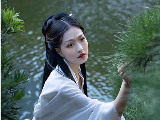 浅梦