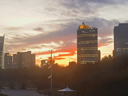 如何选择一个好的数字藏品交易软件