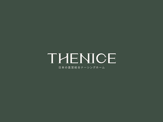 [The Nice] 护肤美妆时尚-logo商标品牌设计VIS主视觉