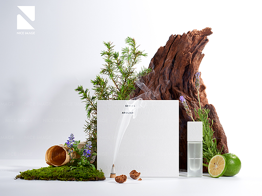 SENSES AROUND X NICE IMAGE