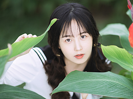 户外写真