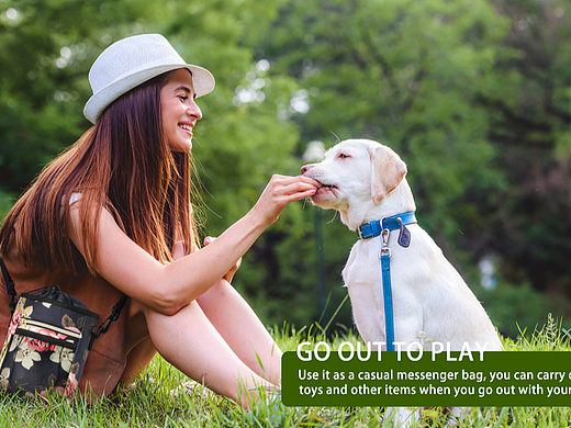 宠物便携出行斜跨包