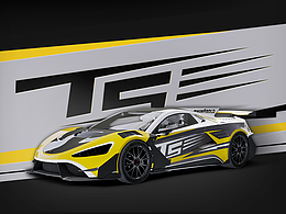 &lt;TUSHEK TS 900&gt;