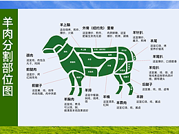 羊肉部位分割图