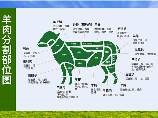 羊肉部位分割图