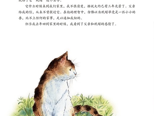 《父亲的玳瑁》插画