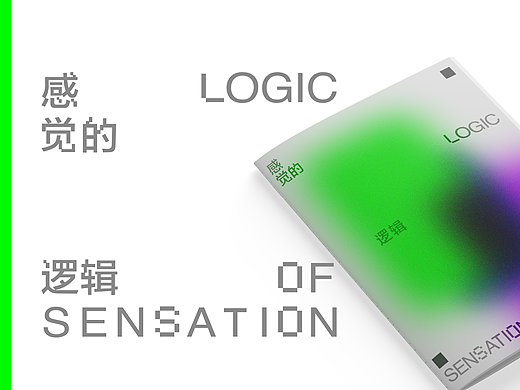 感觉的逻辑——2021第五届深圳国际摄影大展平行展后书