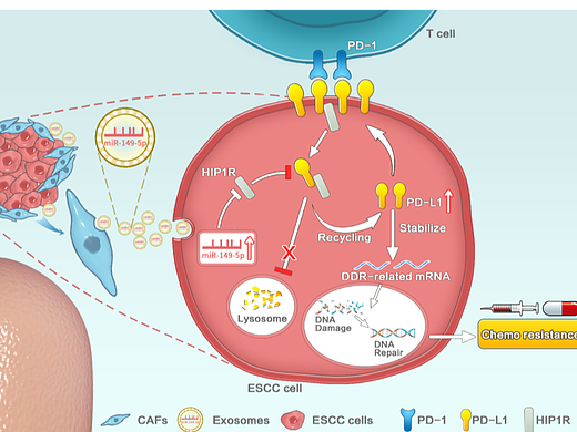 野马科研作品欣赏