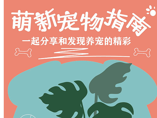 萌新宠物指南