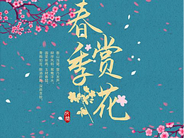 初级赏花