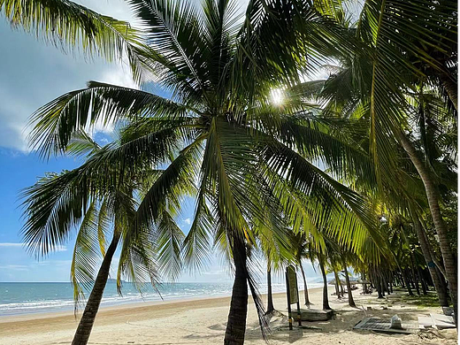 海南三亚｜椰影摇曳，斑驳了椰岛一隅。