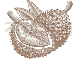 水果版画的初次尝试