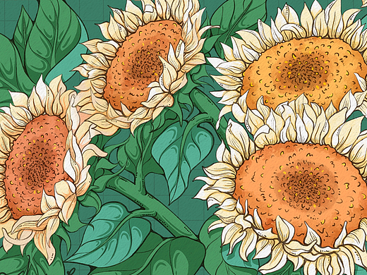 《花朝花目》系列完结