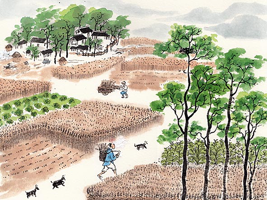 手绘二十四节气 夏季篇