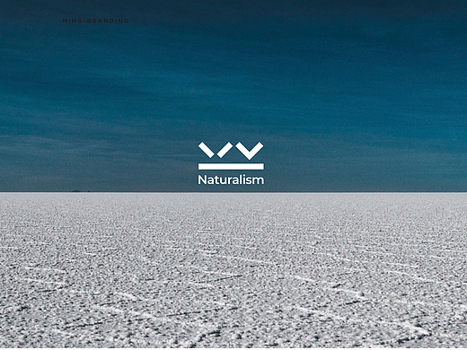 自然主张LOGO设计