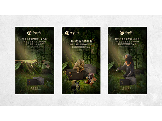 沉香产品海报合集