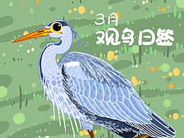 3月观鸟日签丨春天的鸟儿们正向你飞来~