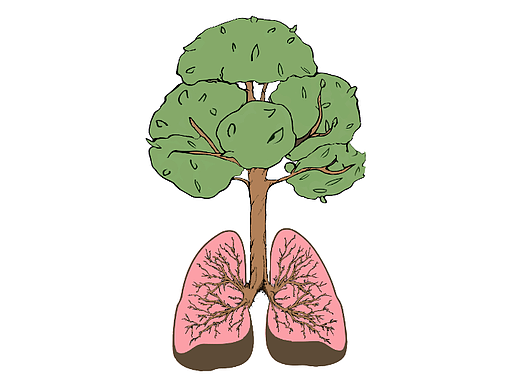 生命的能源（個(gè)人主頁(yè)-ZNjU0MTAzODQ=） - 海報(bào) - 站酷設(shè)計(jì)師橘子香味兒原創(chuàng)素材 - 站酷ZCOOL